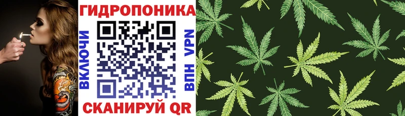 Купить закладку Галлюциногенные грибы  Кокаин  МЕТАДОН  МАРИХУАНА  АМФ  Меф  Грайворон