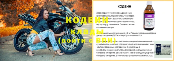 хмурый Иннополис
